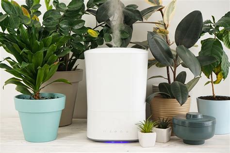 honywell moisture sticks rfid chip for plants|The 9 Best Humidifiers for Plants, Tested and Reviewed .